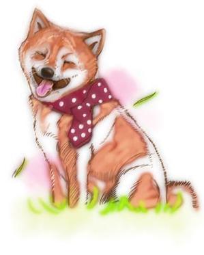 サマーステップ (summer_step)さんの和食器・和雑貨用の「柴犬」デザインをお願いします。への提案