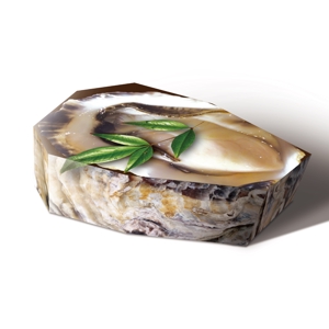 S O B A N I graphica (csr5460)さんの牡蠣佃煮のパッケージデザインへの提案