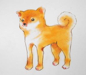 CHIKAKO (chi-2015)さんの和食器・和雑貨用の「柴犬」デザインをお願いします。への提案