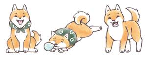 Mexe＆梅月 (mexe)さんの和食器・和雑貨用の「柴犬」デザインをお願いします。への提案