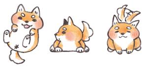 Mexe＆梅月 (mexe)さんの和食器・和雑貨用の「柴犬」デザインをお願いします。への提案