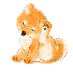 Yuriri (Yuriri)さんの和食器・和雑貨用の「柴犬」デザインをお願いします。への提案