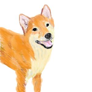 lantostos (lantostos)さんの和食器・和雑貨用の「柴犬」デザインをお願いします。への提案
