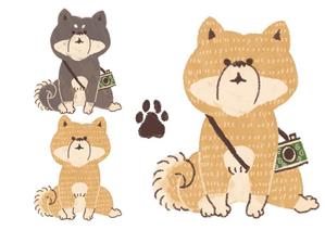 aika ()さんの和食器・和雑貨用の「柴犬」デザインをお願いします。への提案