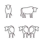 ATARI design (atari)さんのSAITO FARM(ドクタープロデュースのお肉屋さん）の牛のイラストへの提案