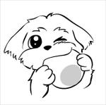 Pamu (pamu)さんの犬のゆるいイラストを描ける方（名刺デザイン）への提案