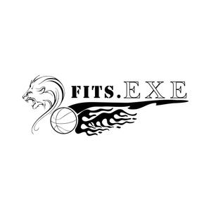 離珠 (hanatama)さんのプロバスケットボールチーム「FITS.EXE」のロゴ制作への提案