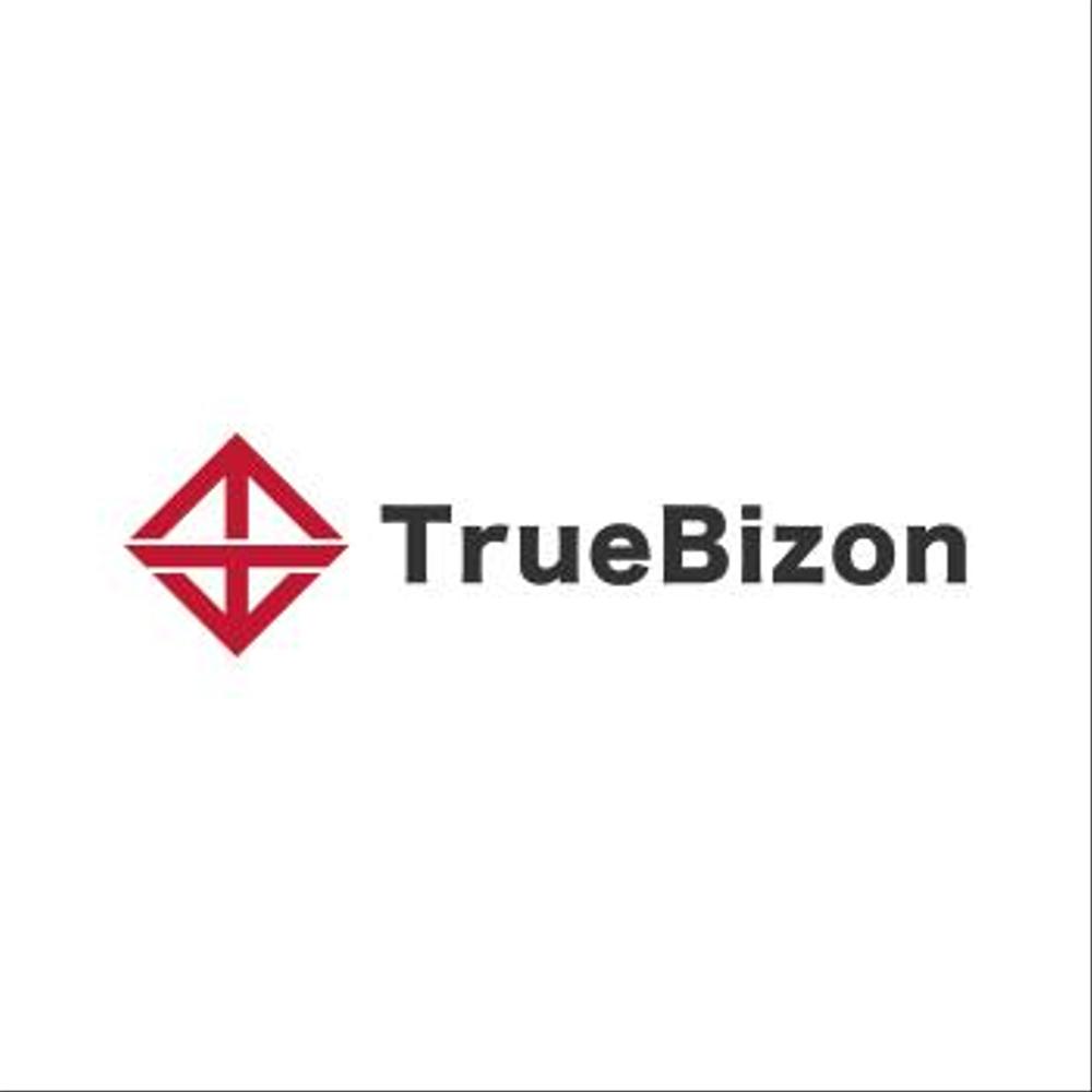 ドローンコンサルティング企業「株式会社トルビズオン」のロゴ