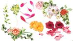 本田 健 (honda_geshi)さんのロマンティックな花のイラストへの提案