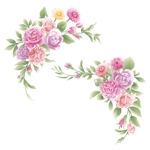 石橋直人 (nao840net)さんのロマンティックな花のイラストへの提案
