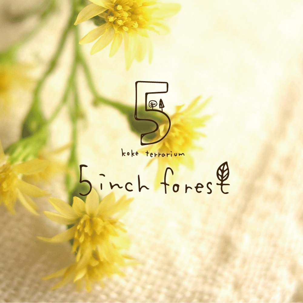5inch-forest5.jpg