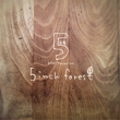 5inch-forest3.jpg