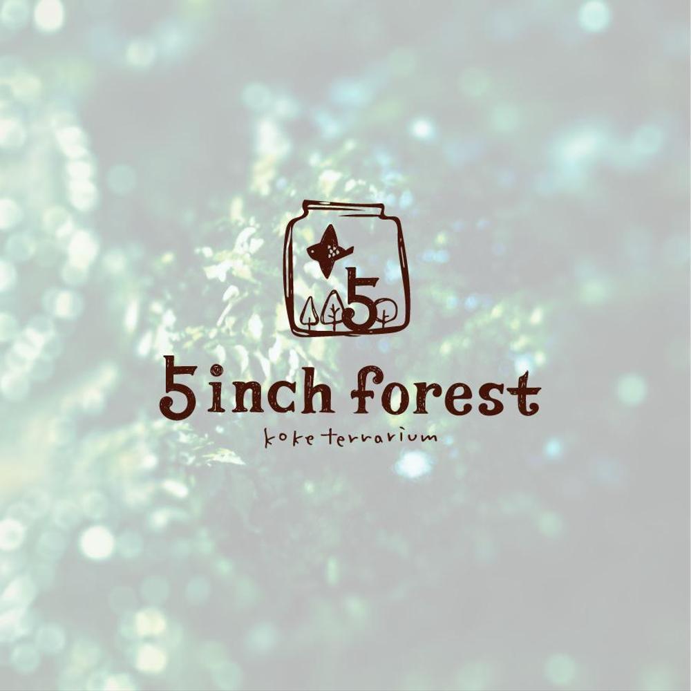 5inch-forest9.jpg