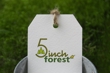 5inch forest-3.jpg