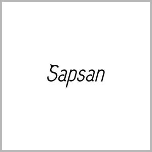 ahiru logo design (ahiru)さんのアパレルショップサイト「Sapsan」のロゴデザインへの提案