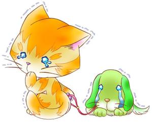 桃色こねこ (nobuhiro_512)さんの迷子犬を救いたい！ 日本初の迷子犬(猫)相互情報サイトのキャラクターへの提案