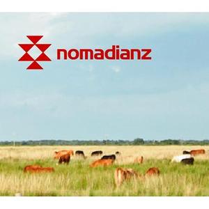 L-design (CMYK)さんのスポーツブランド「Nomadianz 」のロゴ作成への提案