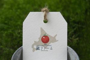 sriracha (sriracha829)さんの北海道富良野ミニトマト農家のロゴへの提案