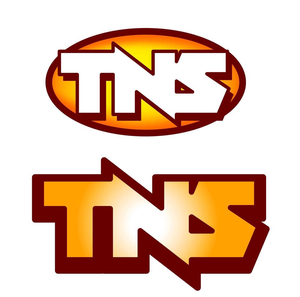 『ＴＮＳ　様』ロゴ０4.JPG