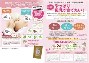 sa-sanさんの通販同梱物　A3　片面　チラシ　大枠のデザインとテキストありへの提案
