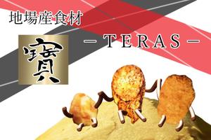 美香+ (mizuki-daisuki)さんの「地場産食材　寳　‐ＴＥＲＡＳ‐」看板のアイディア募集。手書きラフの制作でＯＫへの提案