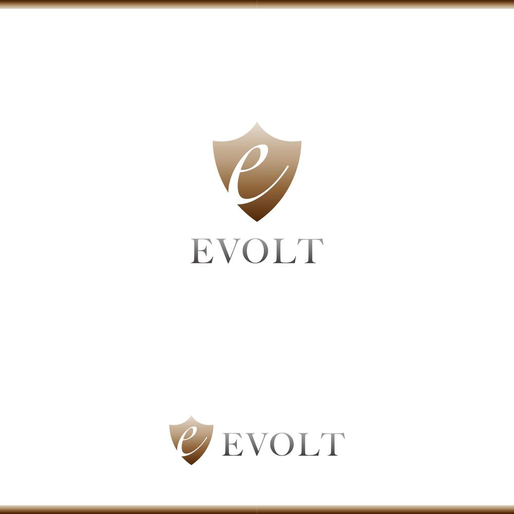 EVOLT1-1.jpg