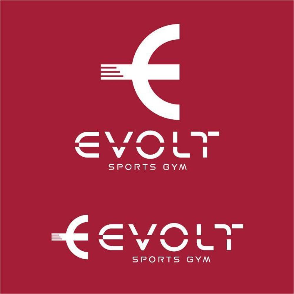 EVOLT-boon3.jpg