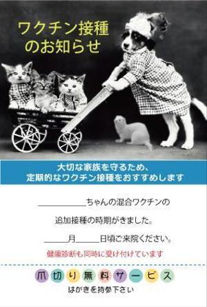 apple-1さんの動物病院　ワクチン接種の案内はがきのデザインへの提案