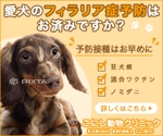 亀井 (kameinko)さんの犬のフィラリア予防（その他含む）のバナー作成（サイズ違い１２種作成）への提案
