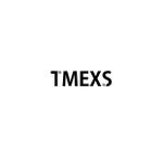 m-iriyaさんのコンサル会社TMEXSのロゴ作成への提案