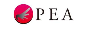 さんの日本初のプロアイリスト養成スクール「PEA」のロゴ作成への提案