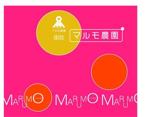 さんのみかん段ボールのデザイン制作への提案