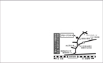 真栄田みさき (ezuka-88)さんの名刺裏に付ける名刺への提案