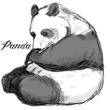 動物マグ panda.jpg