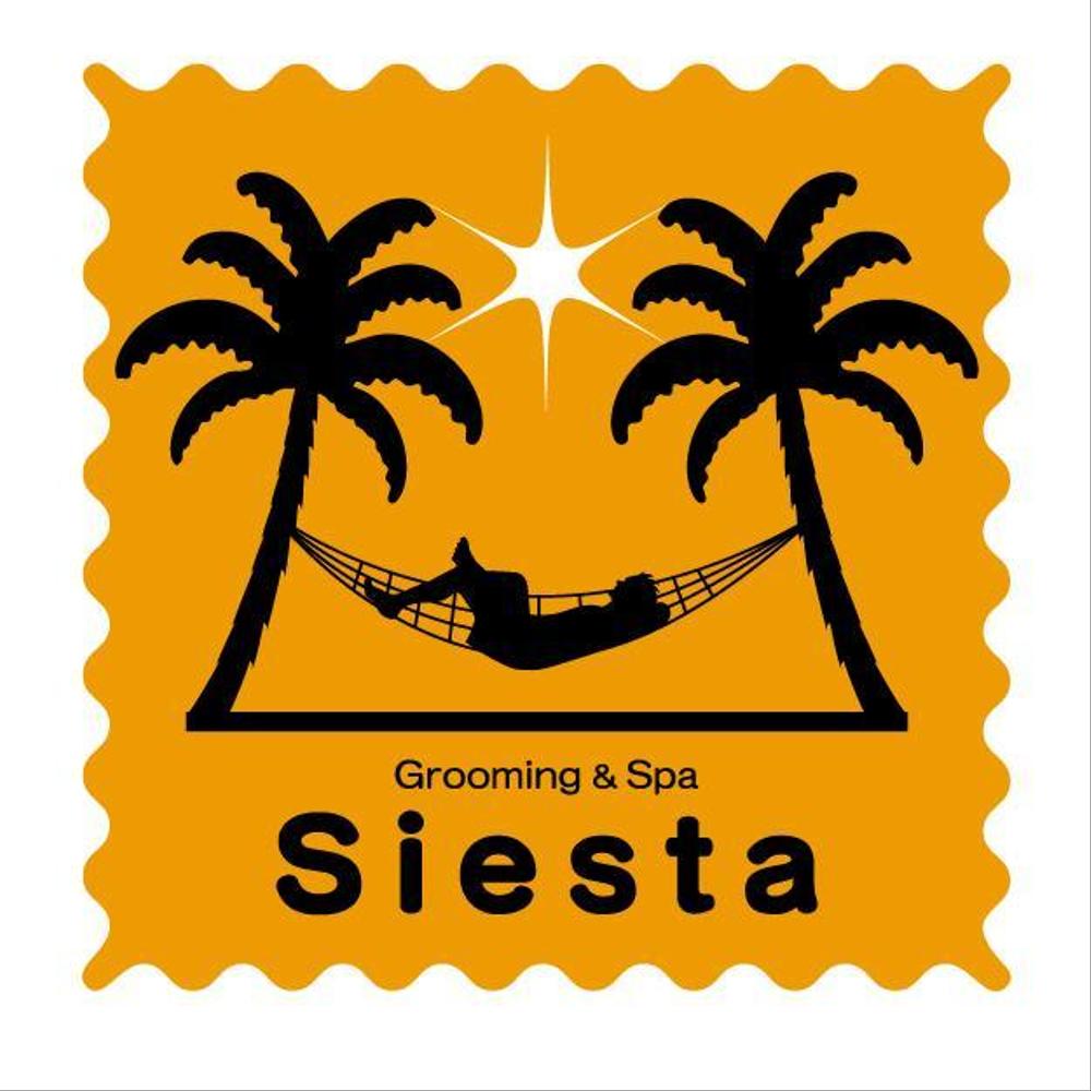 siesta4_serve2000.jpg