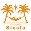 siesta3_serve2000.jpg