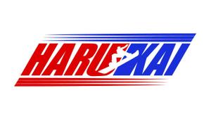 MacMagicianさんのSnowboarder Brothers [HARUKAI] HARUMI&KAIRI のロゴへの提案