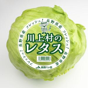 COOLMINT (COOLMINT)さんの有名スーパーで販売するレタスの包装デザインへの提案