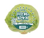 パフボール (nana_skr)さんの有名スーパーで販売するレタスの包装デザインへの提案