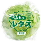 LeBB_23 (LeBB_23)さんの有名スーパーで販売するレタスの包装デザインへの提案