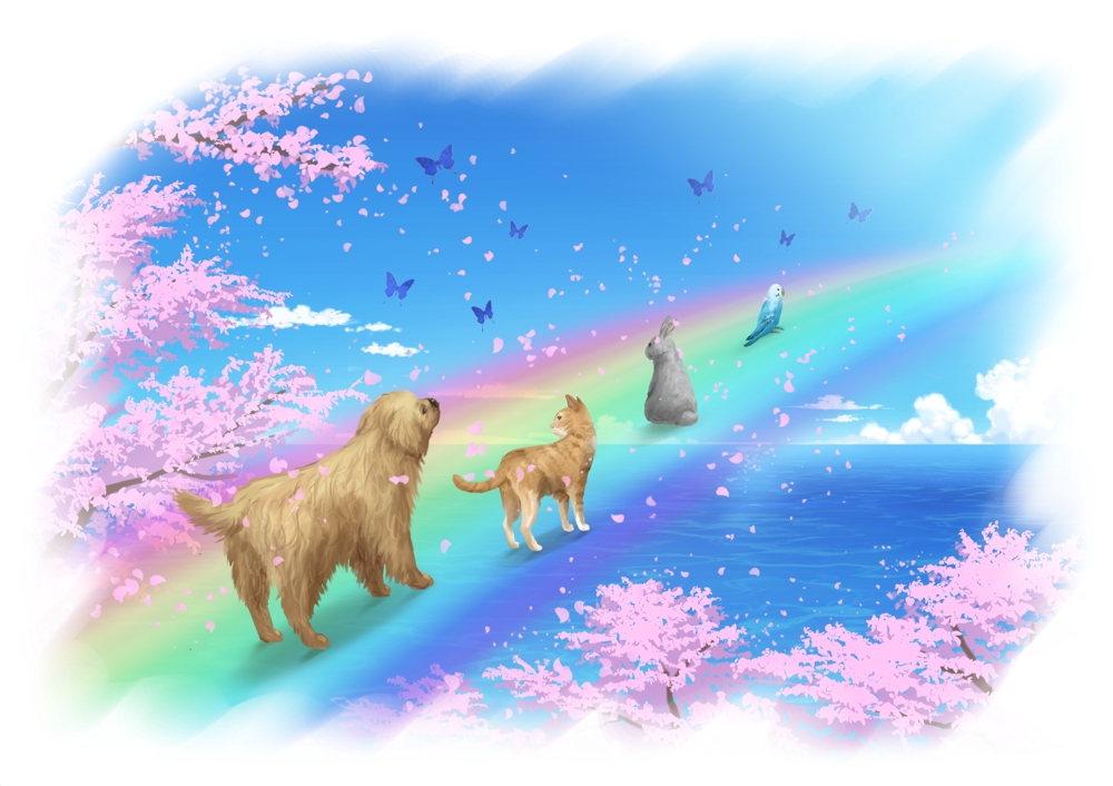 Giraf04さんの事例 実績 提案 虹の橋と動物の綺麗なイラスト 初めまして Nano クラウドソーシング ランサーズ