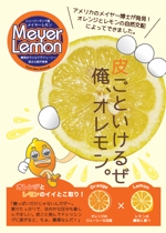 メイワークス (meifactory)さんのまるごと美味しいレモンのPOPへの提案