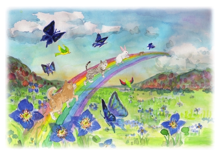 Eee7さんの事例 実績 提案 虹の橋と動物の綺麗なイラスト Eriと申します 虹 クラウドソーシング ランサーズ