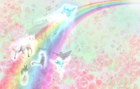 Irohacyaさんの事例 実績 提案 虹の橋と動物の綺麗なイラスト 初めましてiroha クラウドソーシング ランサーズ