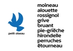 8a Design works (nuncn8a)さんの自転車のブランド「petit oiseau」のロゴ、各車種ロゴ(イラスト同一、テキストのみ変更)作成への提案