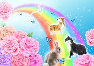藤原美保子 ()さんの虹の橋と動物の綺麗なイラストへの提案