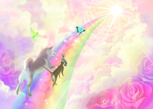 虹の橋と動物の綺麗なイラストの事例 実績 提案一覧 Id イラスト制作の仕事 クラウドソーシング ランサーズ