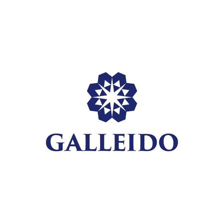 Skyblueさんの事例 実績 提案 男性向け高級化粧品のブランド Galleido Galleido のロゴ作成 Skyblueと申し クラウドソーシング ランサーズ