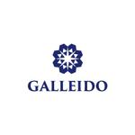 skyblue (skyblue)さんの男性向け高級化粧品のブランド『Galleido』『GALLEIDO』のロゴ作成への提案