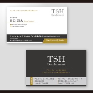 和田淳志 (Oka_Surfer)さんの新規で設立したシステム開発会社の名刺デザインへの提案